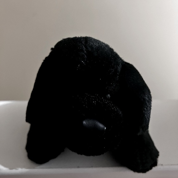 Webkinz - black lab - Picture 5 of 5